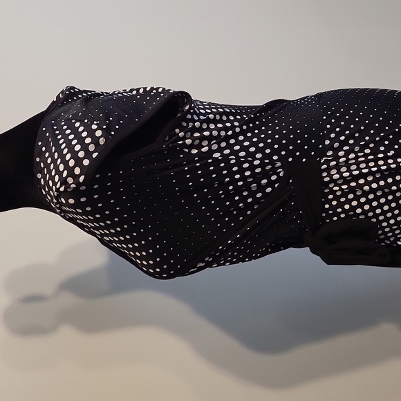 Majora summer polka dot sleeveless dress. - Picture 7 of 9